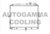 AUTOGAMMA 104032 Radiator, engine cooling